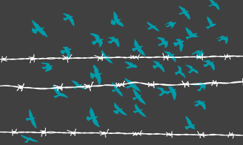 Prison teal birds